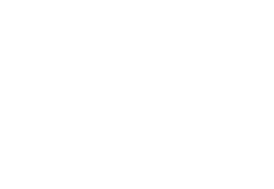 Festival du Premier Roman